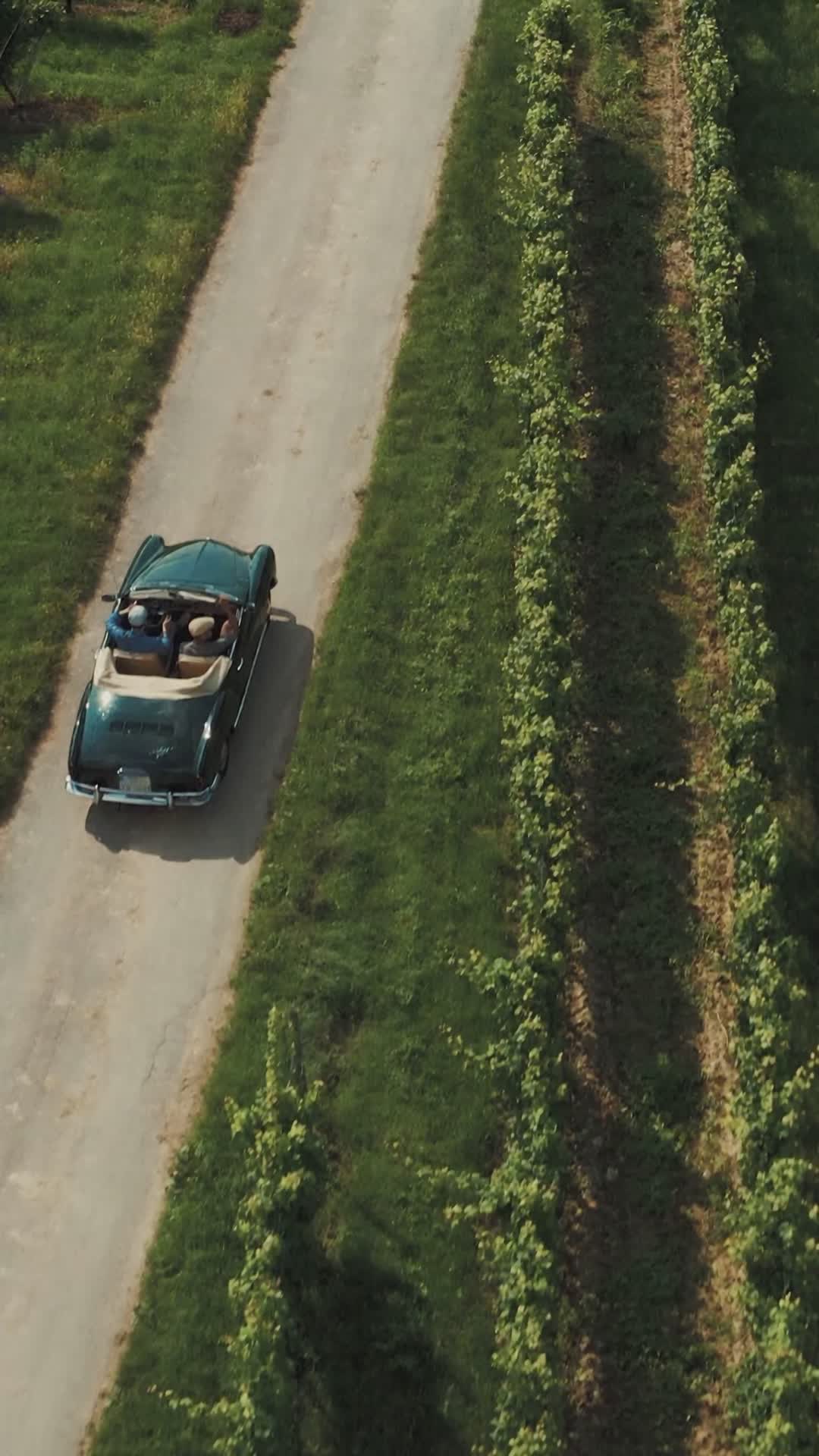 Vintage Car Driving on Vineyard Road