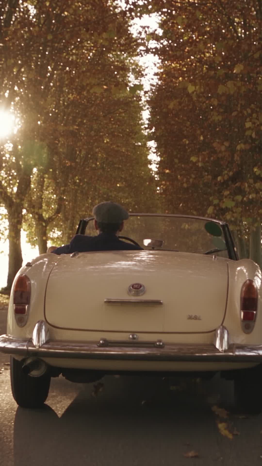Vintage Roadster Driving Down Autumn Avenue