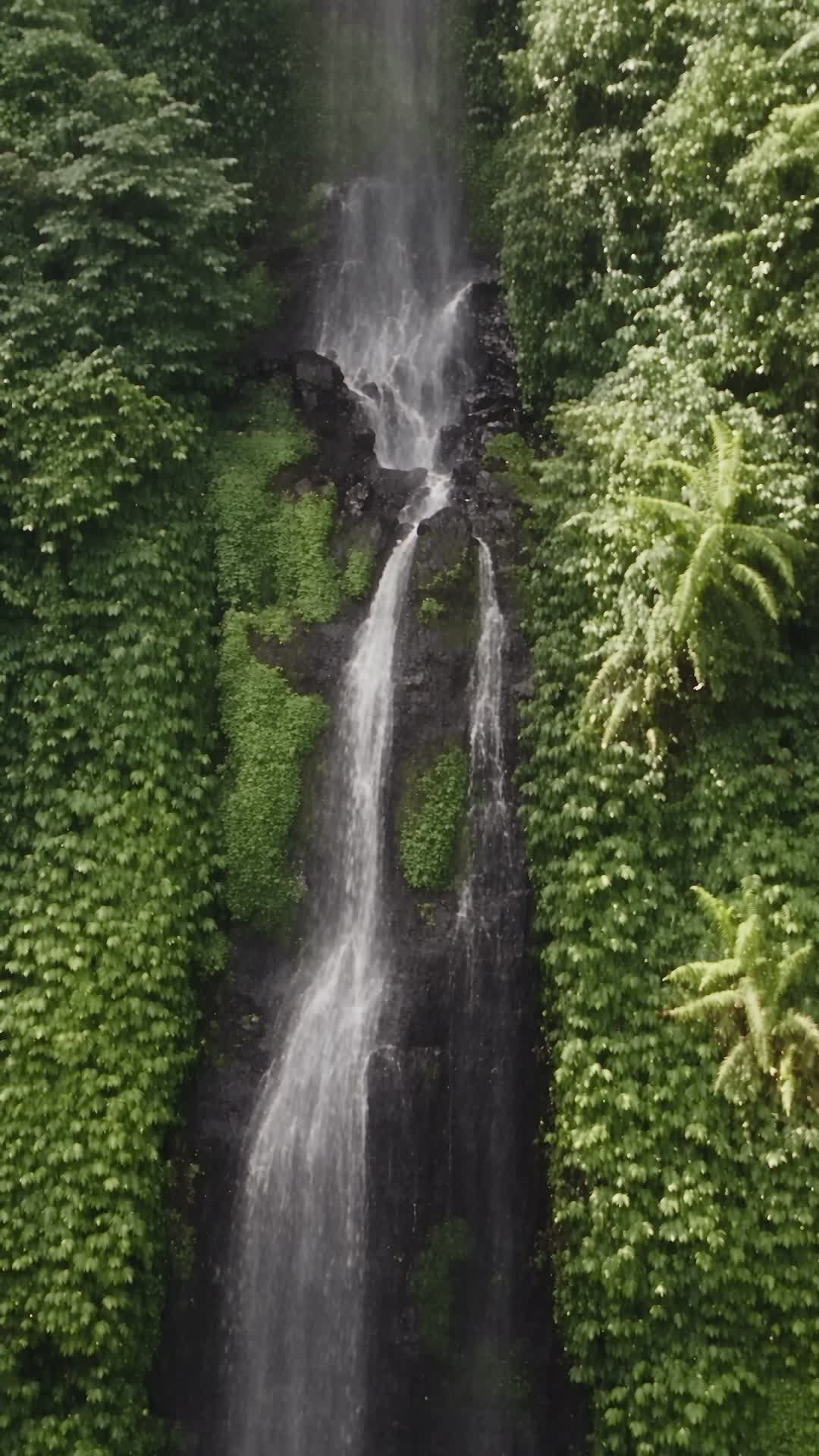 Aerial View of Waterfall in Misty Cloud Forest