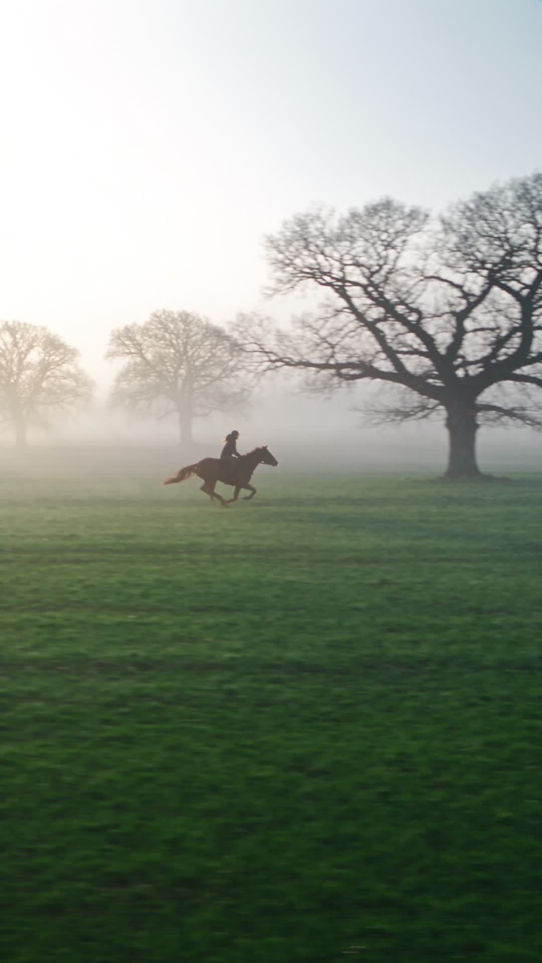 Galloping Chestnut Horse in Misty Fields