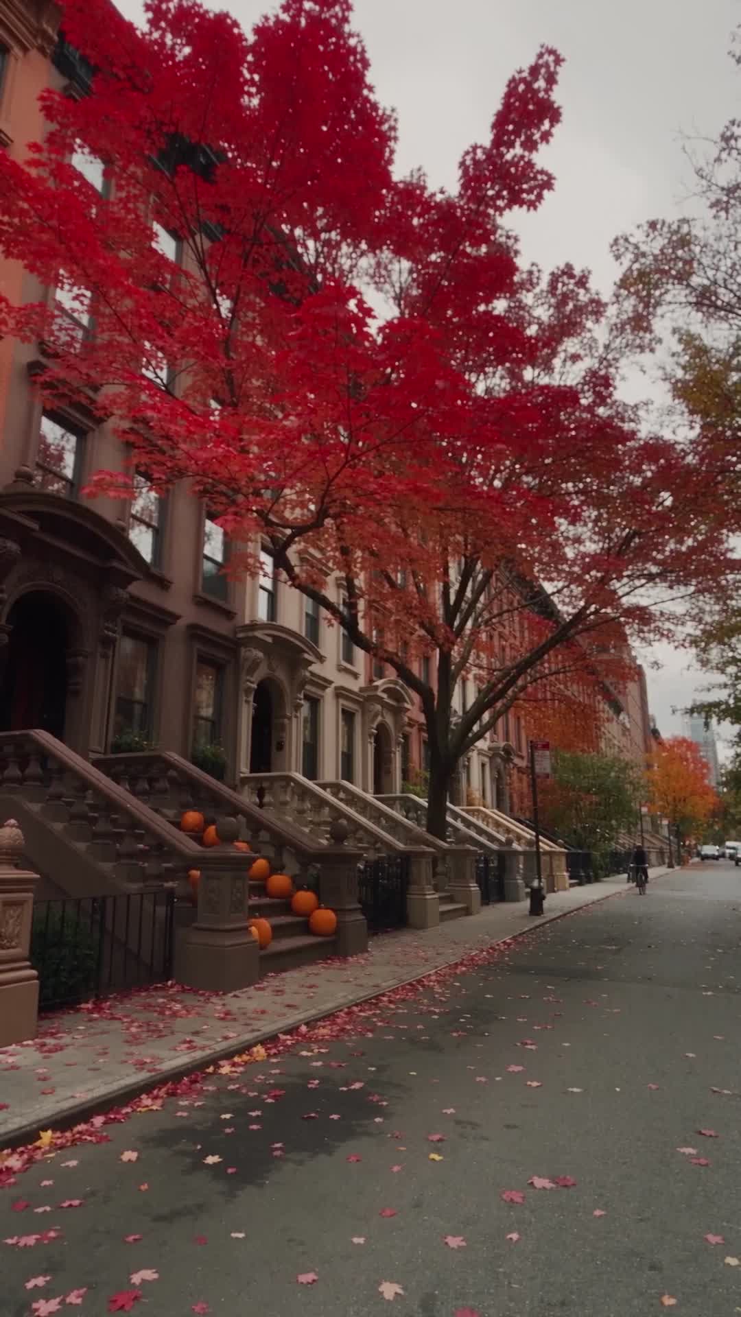 Quiet Brownstone Street with Red Maples