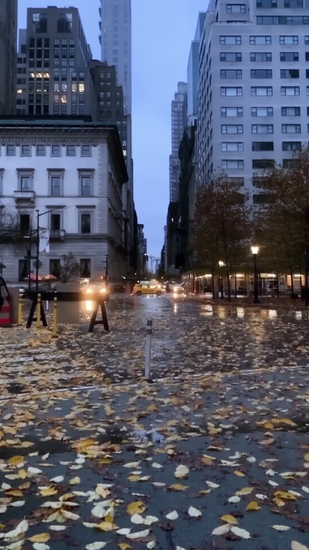 Rainy Autumn Evening in City Plaza