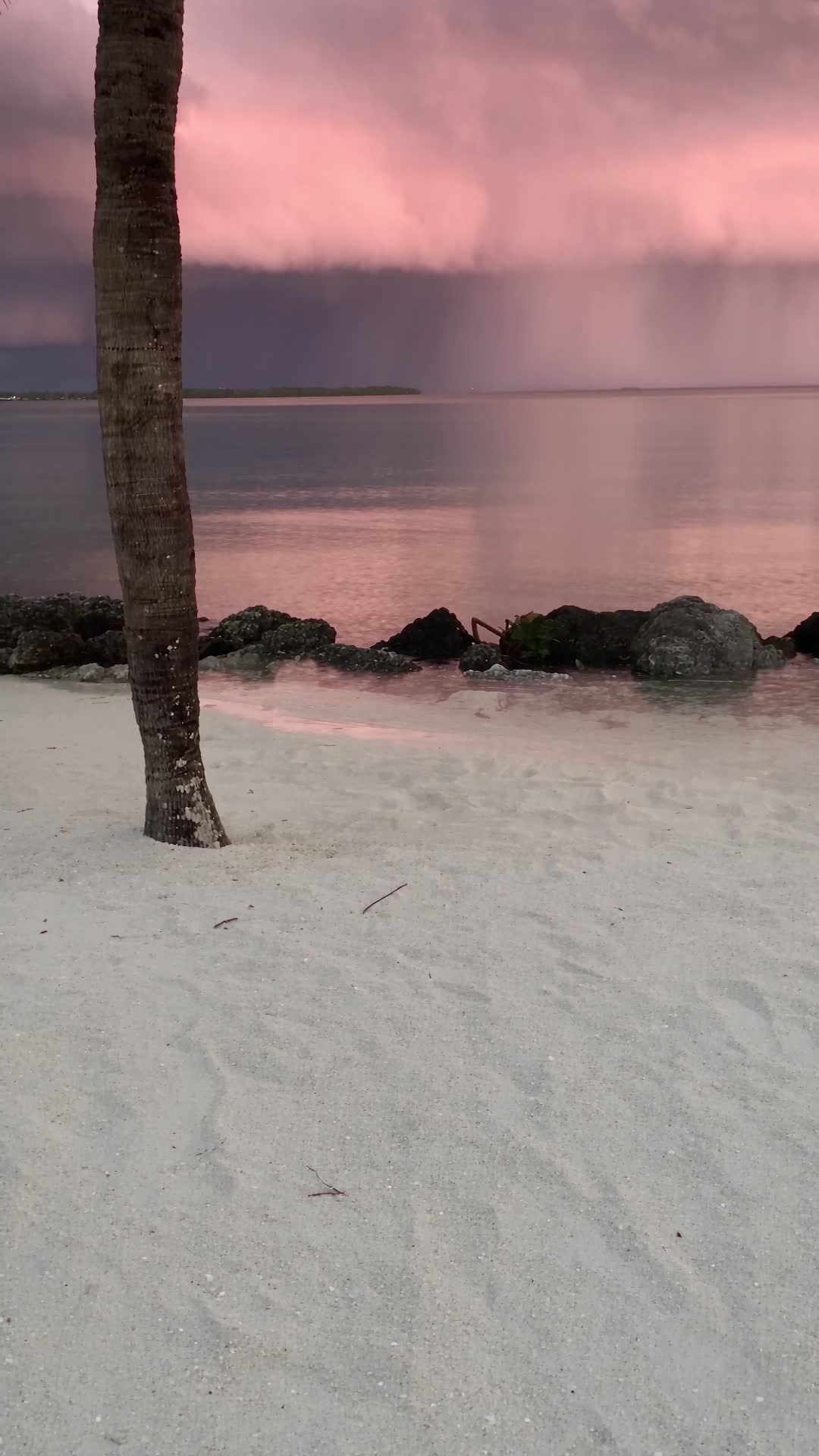 Stormy Pink Sunset Over Tropical Lagoon