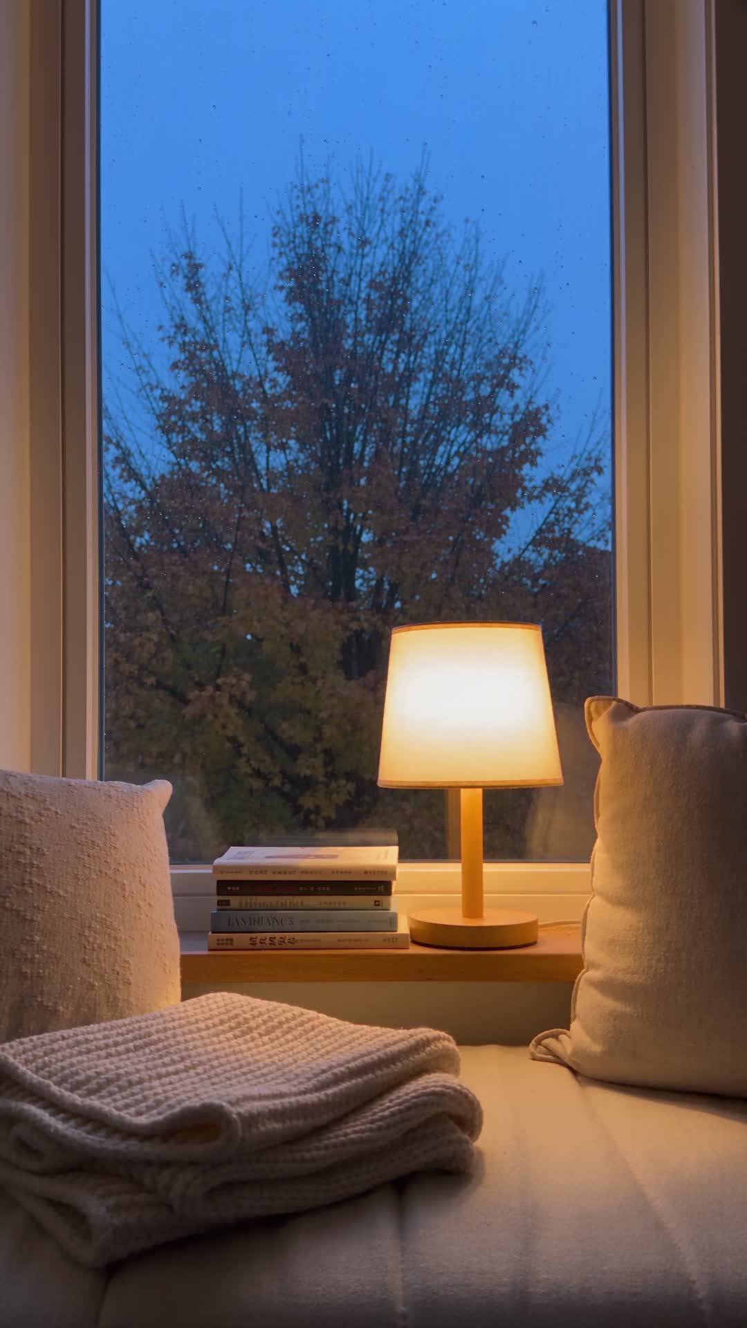 Cozy Reading Nook by Rainy Window